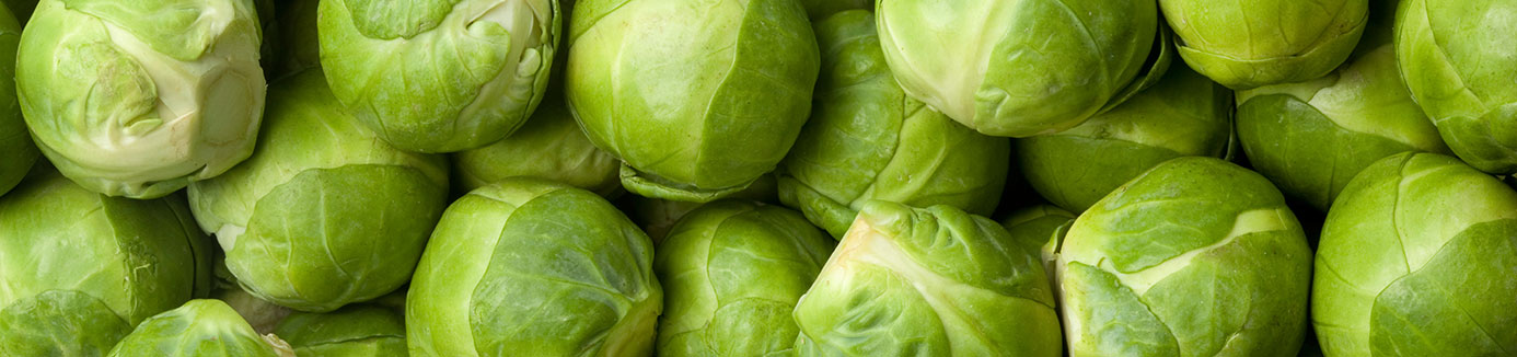 brussels sprouts