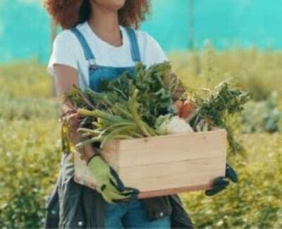 woman holding box of fresh harvest