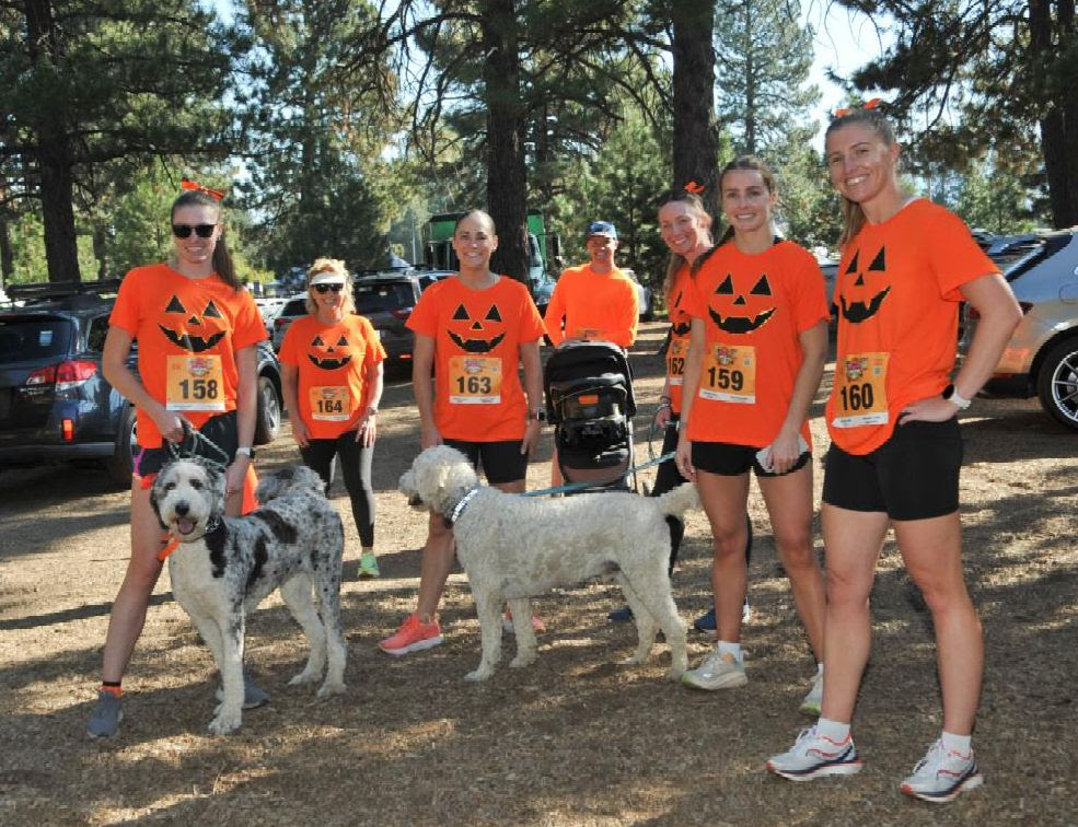 people and dogs dressed for halloween